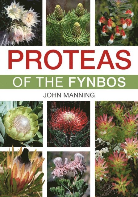 John Manning - Proteas of the Fynbos, E-bok