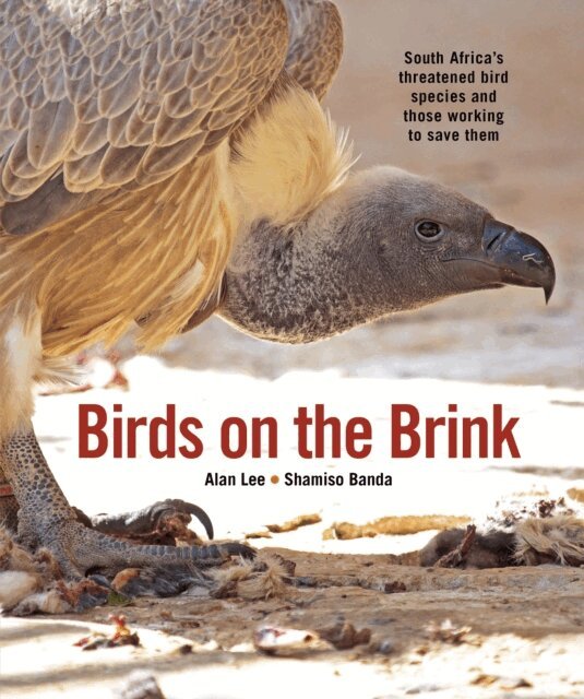 Shamiso Banda, Alan Lee - Birds on the Brink, E-bok