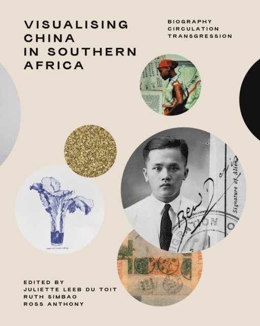 Lifang Zhang, Yan Yang, Shuo Wang, Gemma Rodrigues, Kristin NG-Yang, Marcus Neustetter, Stary Mwaba, Khangelani Moyo, Mark Lewis, Nicola Kritzinger, T Tu Huynh, Binjun Hu, Patricia Hayes, Philip Harrison, Esther Esmyol, Romain Dittgen, Malcolm Corrigall, Ying Cheng, Rui Assubuji, Ross Anthony, Ruth Simbao, Juliette Leeb-du Toit, Ross Anthony, Ruth Simbao, Juliette Leeb-du Toit - Visualising China in Southern Africa, E-bok