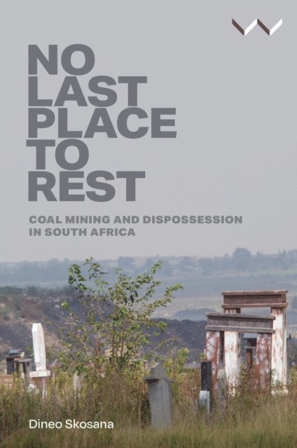 Dineo Skosana - No Last Place to Rest, E-bok