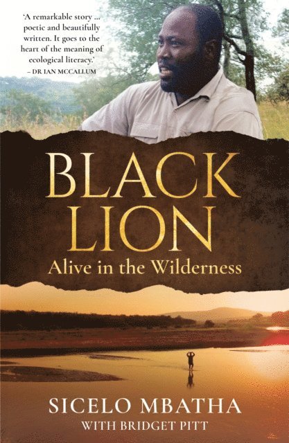 Bridget Pitt, Sicelo Mbatha - Black Lion, E-bok