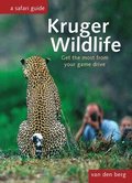 Kruger Wildlife