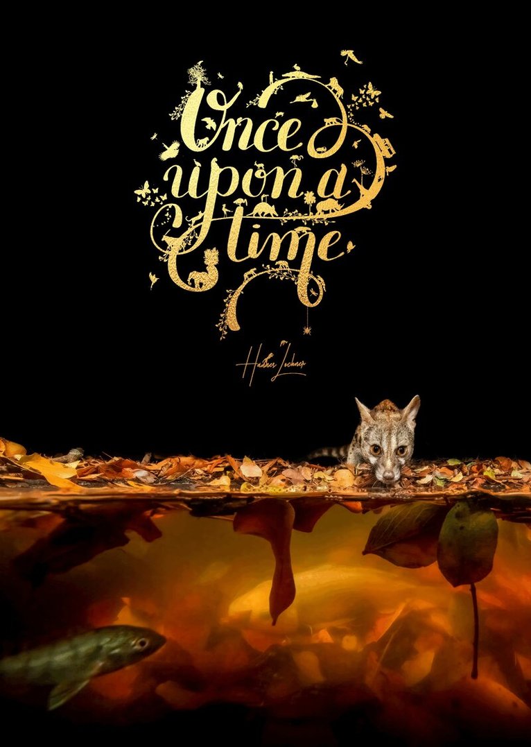 Hannes Lochner - Once Upon a Time, Inbunden