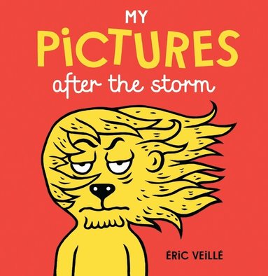 Eric Veillé - My Pictures After the Storm, Inbunden