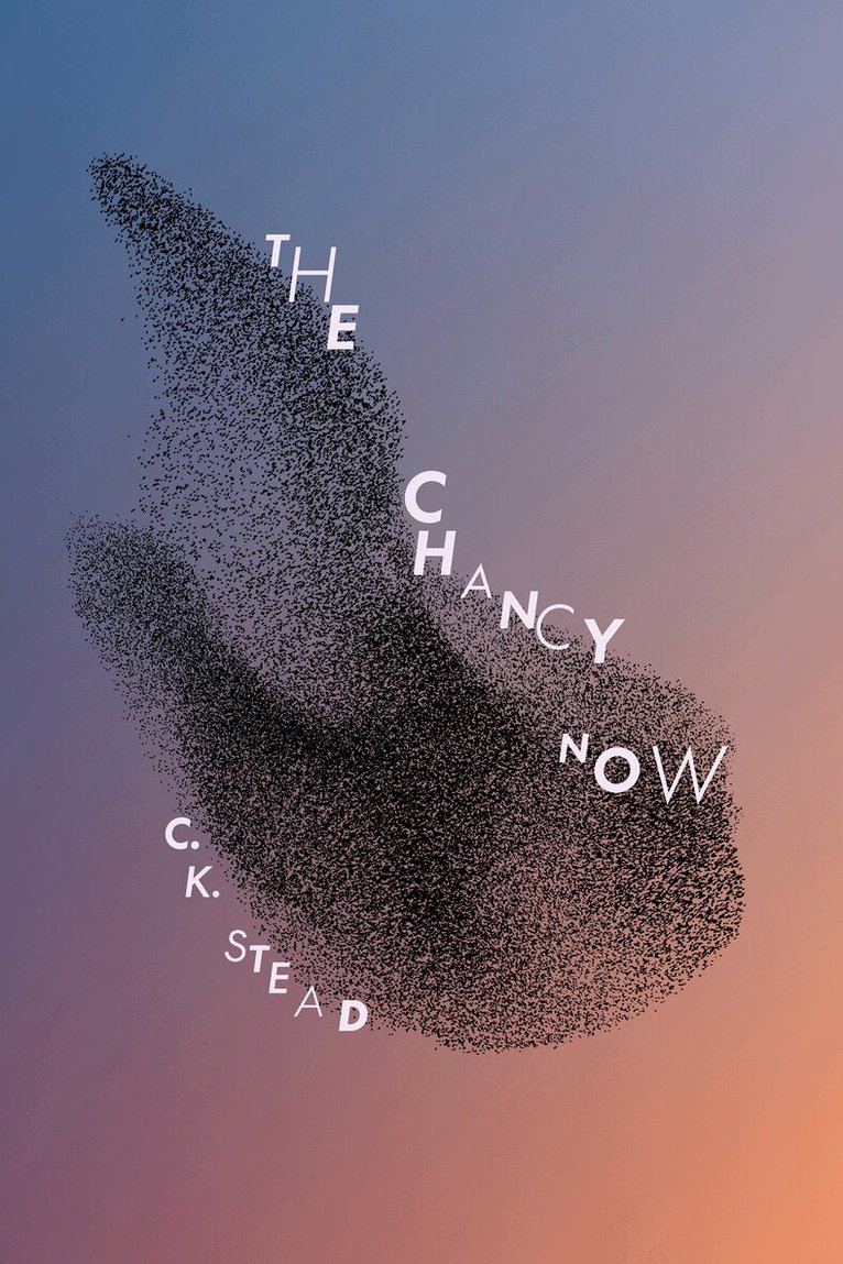 C. K. Stead - Chancy Now, Häftad. Tillgänglighet: Kommande