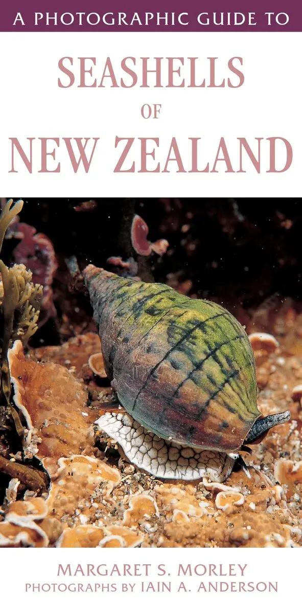 Margaret,Morley - Photographic Guide to Seashells of New Zealand, Häftad. Tillgänglighet: Lägg i varukorg