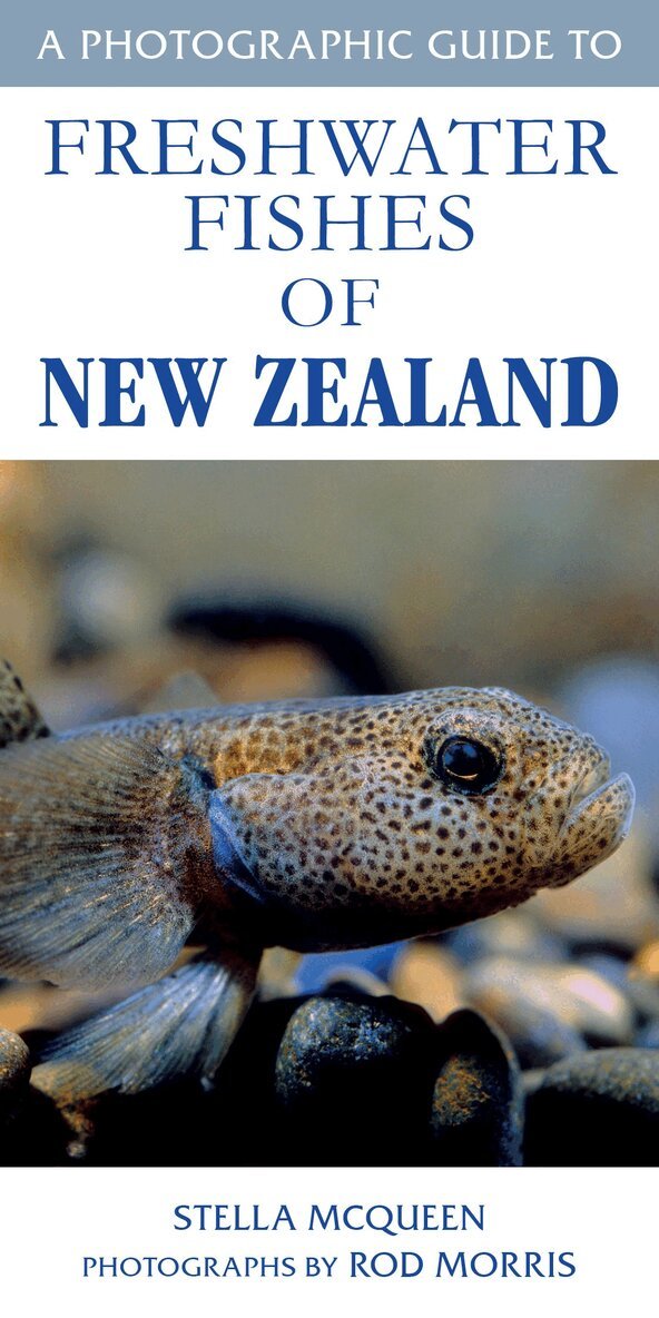 Photographic Guide to Freshwater Fish, Häftad