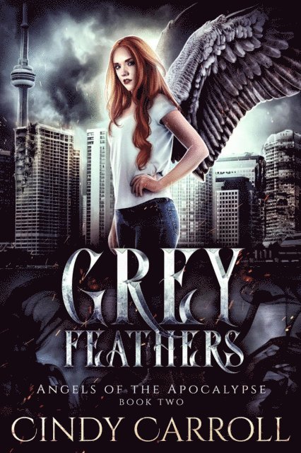 Cindy Carroll - Grey Feathers, E-bok