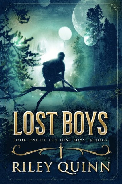 Riley Quinn - Lost Boys, E-bok