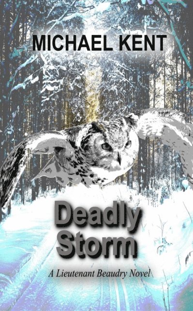 Michael Kent - Deadly Storm, E-bok