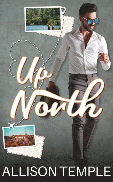 Allison Temple - Up North, E-bok