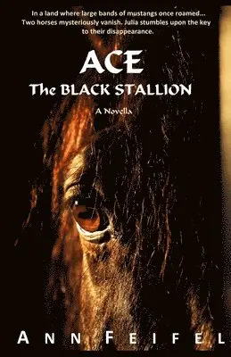 Ann Feifel - Ace, The Black Stallion, Häftad. Tillgänglighet: Lägg i varukorg