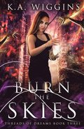 Burn the Skies