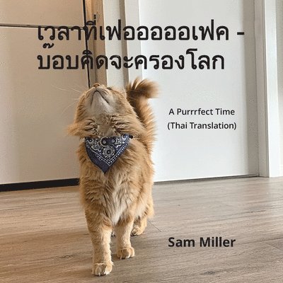 Sam Miller - เวลาที่เฟอออออเฟค - บ๊อบคิดจะครองโลก - A Purrrfect Time (T, Häftad