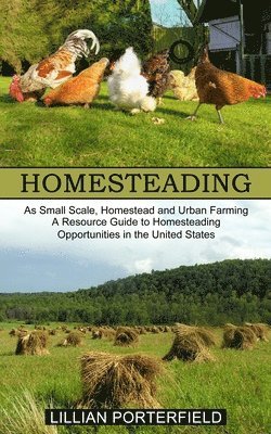 Lillian Porterfield - Homesteading, Häftad