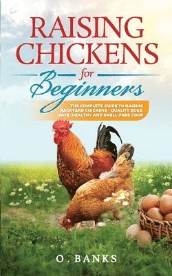 Otis Banks - Raising Chickens for Beginners, Häftad. Tillgänglighet: Lägg i varukorg