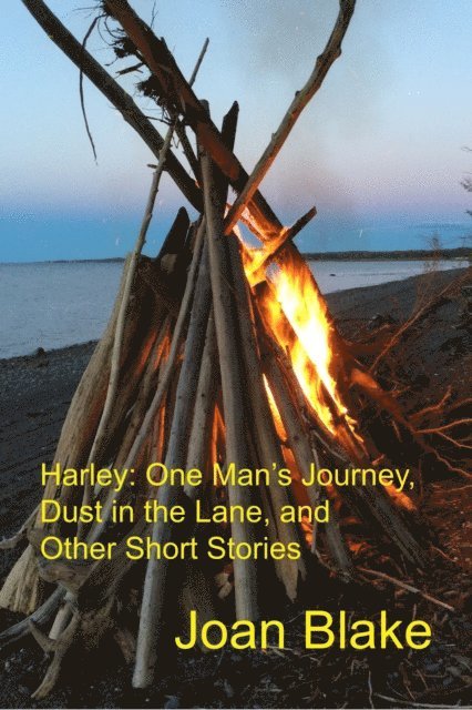 Joan Blake - Harley: One Man's Journey, Dust in the Lane and Other Short Stories, E-bok