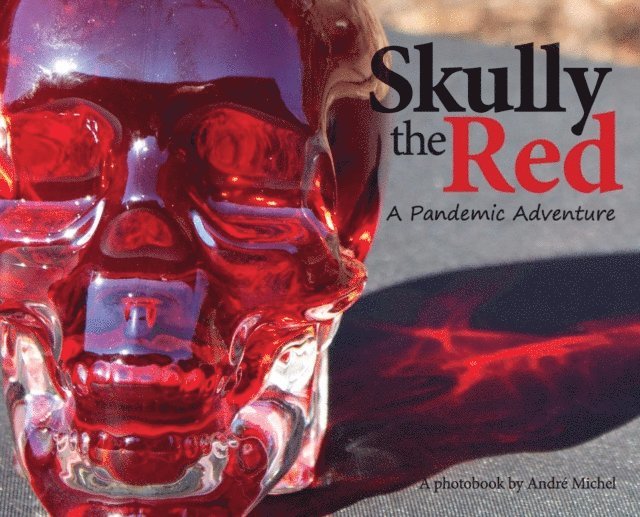 Andre Michel - Skully the Red: A Pandemic Adventure, E-bok