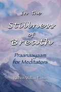 In the Stillness of Breath