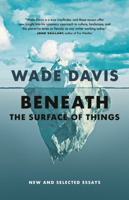 Wade Davis - Beneath the Surface of Things, E-bok