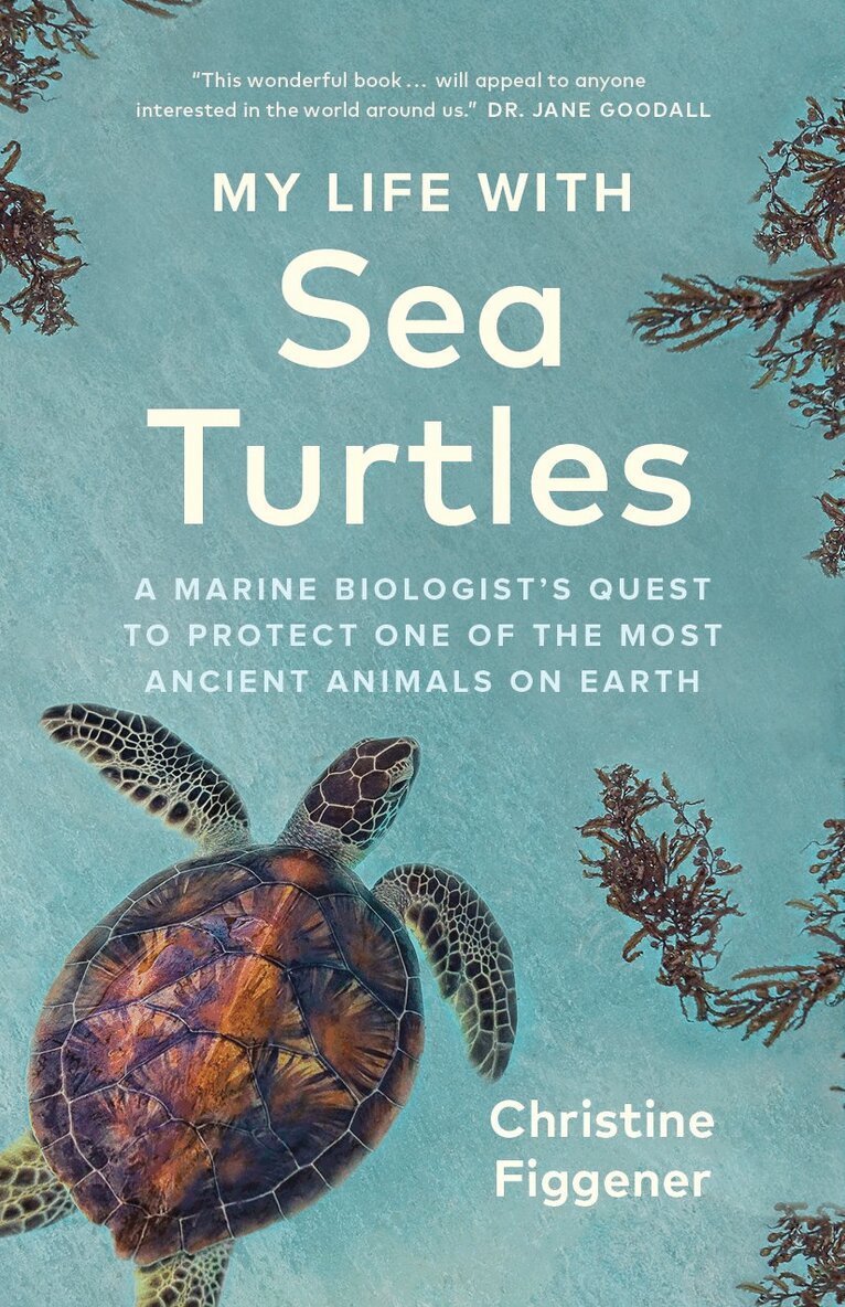 Christine Figgener - My Life with Sea Turtles, Inbunden