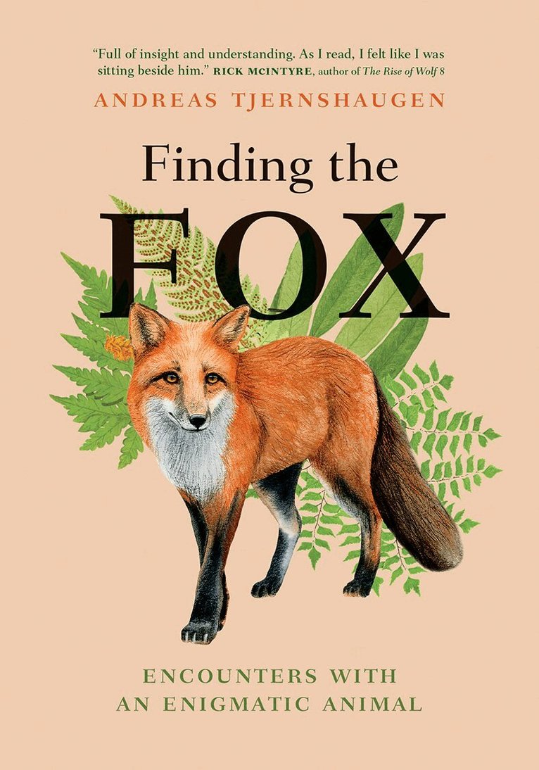 Andreas Tjernshaugen - Finding the Fox, Inbunden