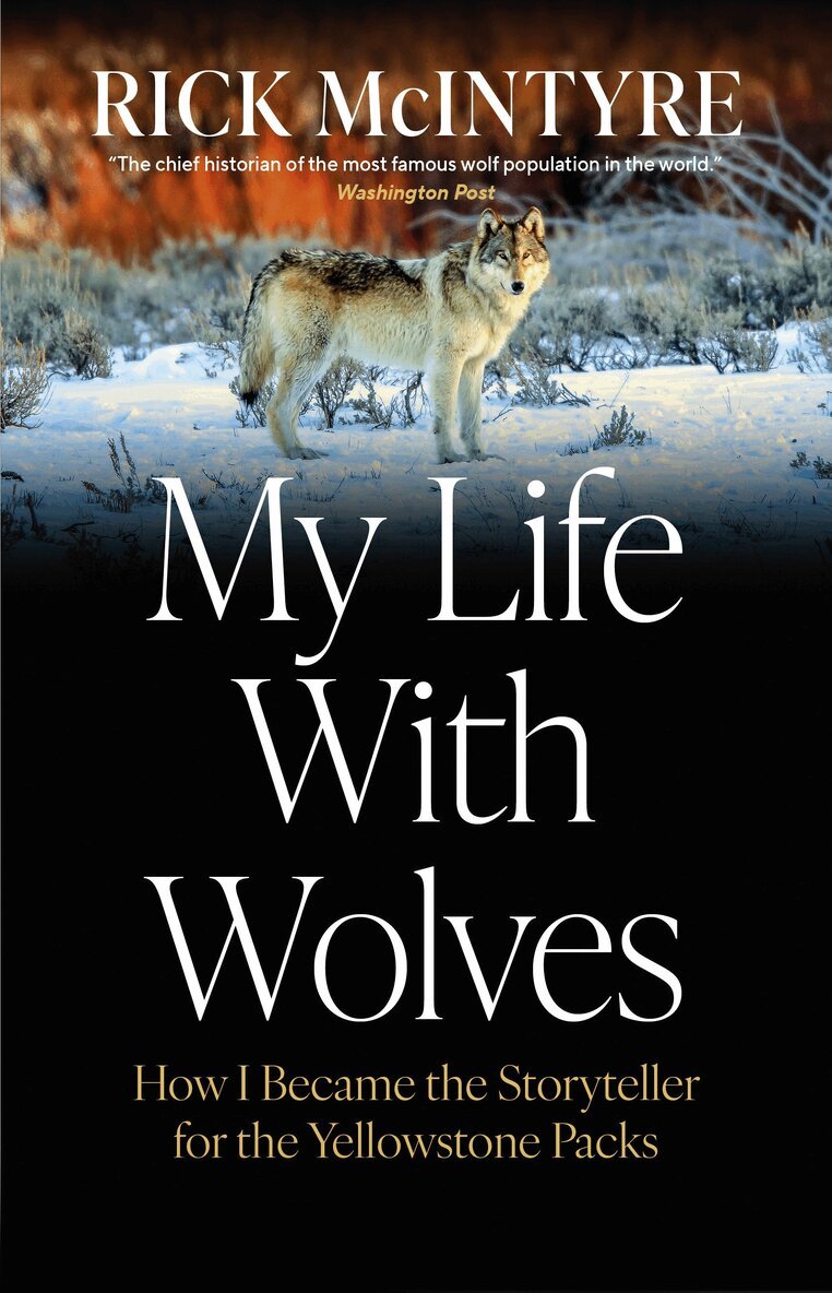 Rick McIntyre - My Life With Wolves, Inbunden