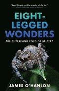 Eight-Legged Wonders