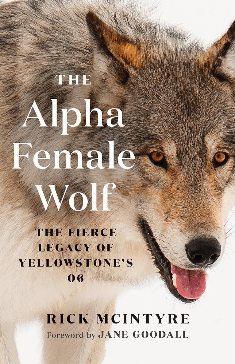 Rick McIntyre - Alpha Female Wolf, Häftad