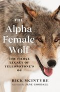 Alpha Female Wolf