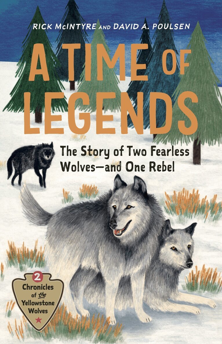 Rick McIntyre, David A. Poulsen - Time of Legends, Inbunden