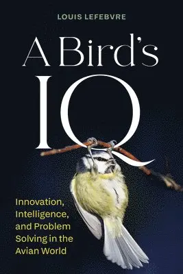 Bird's IQ