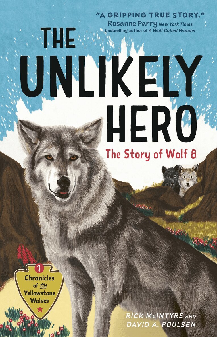 Rick McIntyre, David A. Poulsen - Unlikely Hero, Häftad