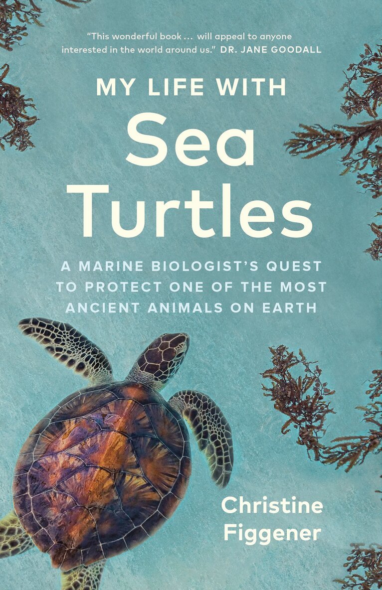 Christine Figgener - My Life with Sea Turtles, Häftad