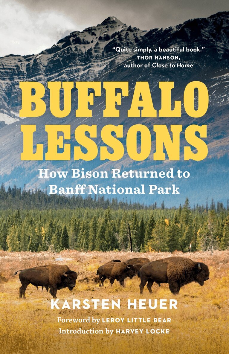 Karsten Heuer - Buffalo Lessons, Häftad. Tillgänglighet: Lägg i varukorg