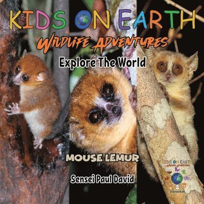 Sensei Paul David - KIDS ON EARTH Wildlife Adventures - Explore The World Mouse Lemur - Madagascar, Häftad. Tillgänglighet: Lägg i varukorg
