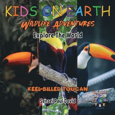 Sensei Paul David - KIDS ON EARTH Wildlife Adventures - Explore The World Keel-Billed Toucan - Costa Rica, Häftad