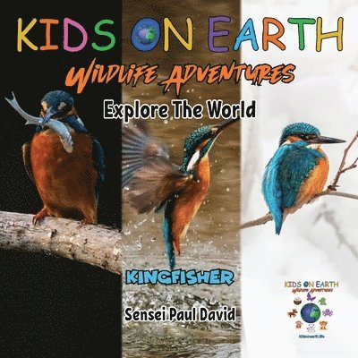 Sensei Paul David - KIDS ON EARTH Wildlife Adventures - Explore The World Kingfisher - Madagascar, Häftad