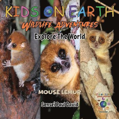 Sensei Paul David - KIDS ON EARTH Wildlife Adventures - Explore The World Mouse Lemur - Madagascar, Häftad