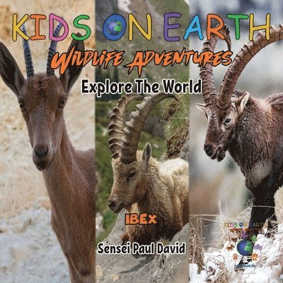 Sensei Paul David - KIDS ON EARTH Wildlife Adventures - Explore The World - Ibex - Israel, Häftad