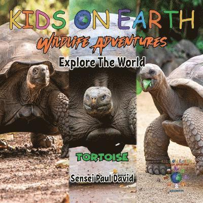 Sensei Paul David - KIDS ON EARTH Wildlife Adventures - Explore The World Tortoise - Ecuador, Häftad