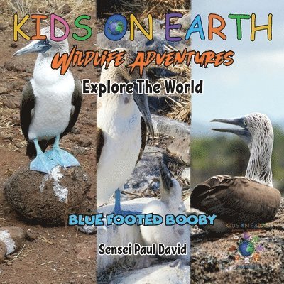 Sensei Paul David - KIDS ON EARTH Wildlife Adventures - Explore The World Blue Footed Booby - Ecuador, Häftad