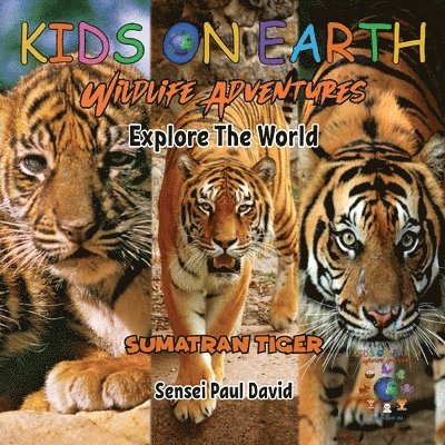Sensei Paul David - KIDS ON EARTH Wildlife Adventures - Explore The World Sumatran Tiger - Indonesia, Häftad