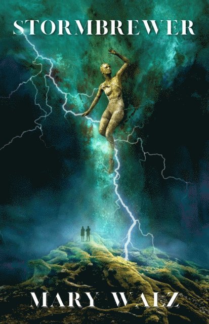 Mary Walz - Stormbrewer, E-bok