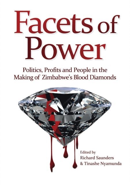 Tinashe Nyamunda, Richard Saunders - Facets of Power, E-bok