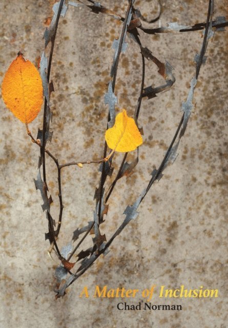 Chad Norman - Norman: A Matter of Inclusion, E-bok