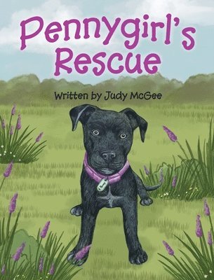 Judy Patricia McGee - Pennygirl's Rescue, Inbunden