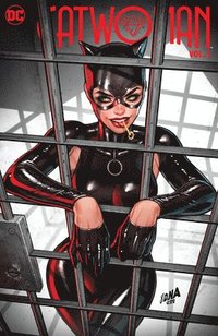 Catwoman Vol. 3: Duchess of Gotham