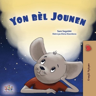 Sam Sagolski, Kidkiddos Books - A Wonderful Day (Haitian Creole Book for Children), Häftad