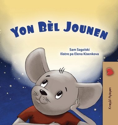 Sam Sagolski, Kidkiddos Books - A Wonderful Day (Haitian Creole Book for Children), Inbunden